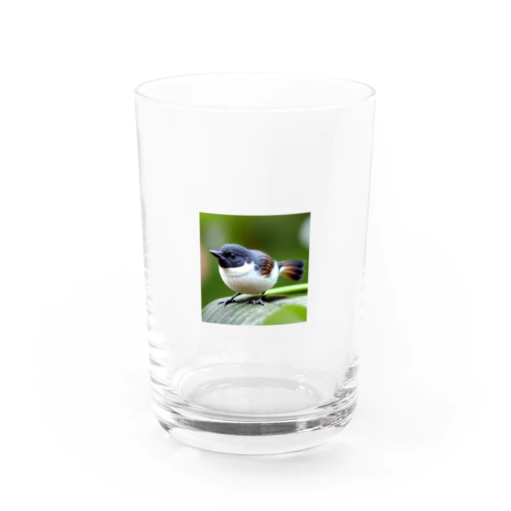 フリーダムのどこかを見つめている小鳥 Water Glass :front