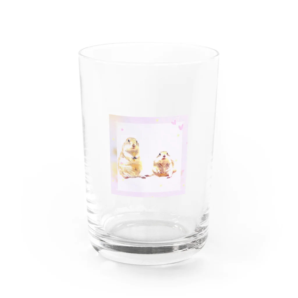 ほっこりす【リチャードソンジリス】のキュートなジリス　＊スイート＊ Water Glass :front