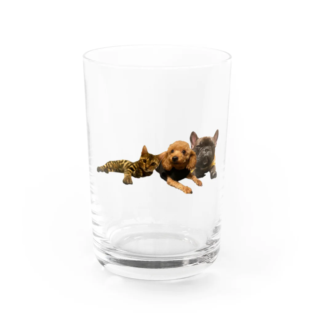 Ru.xxxのトイプードル＆フレンチブルドッグ＆ベンガル Water Glass :front