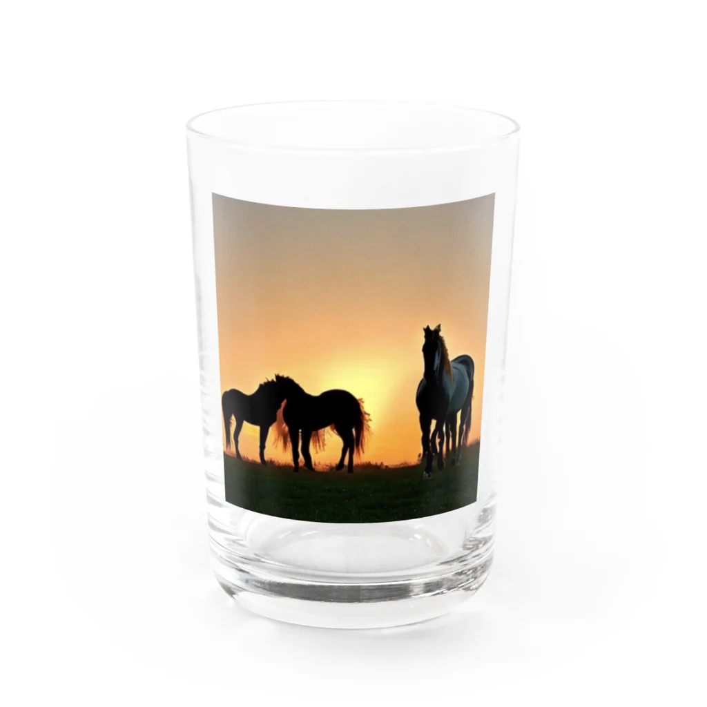 宇宙開発デザイン科の夕陽の中の馬 Water Glass :front