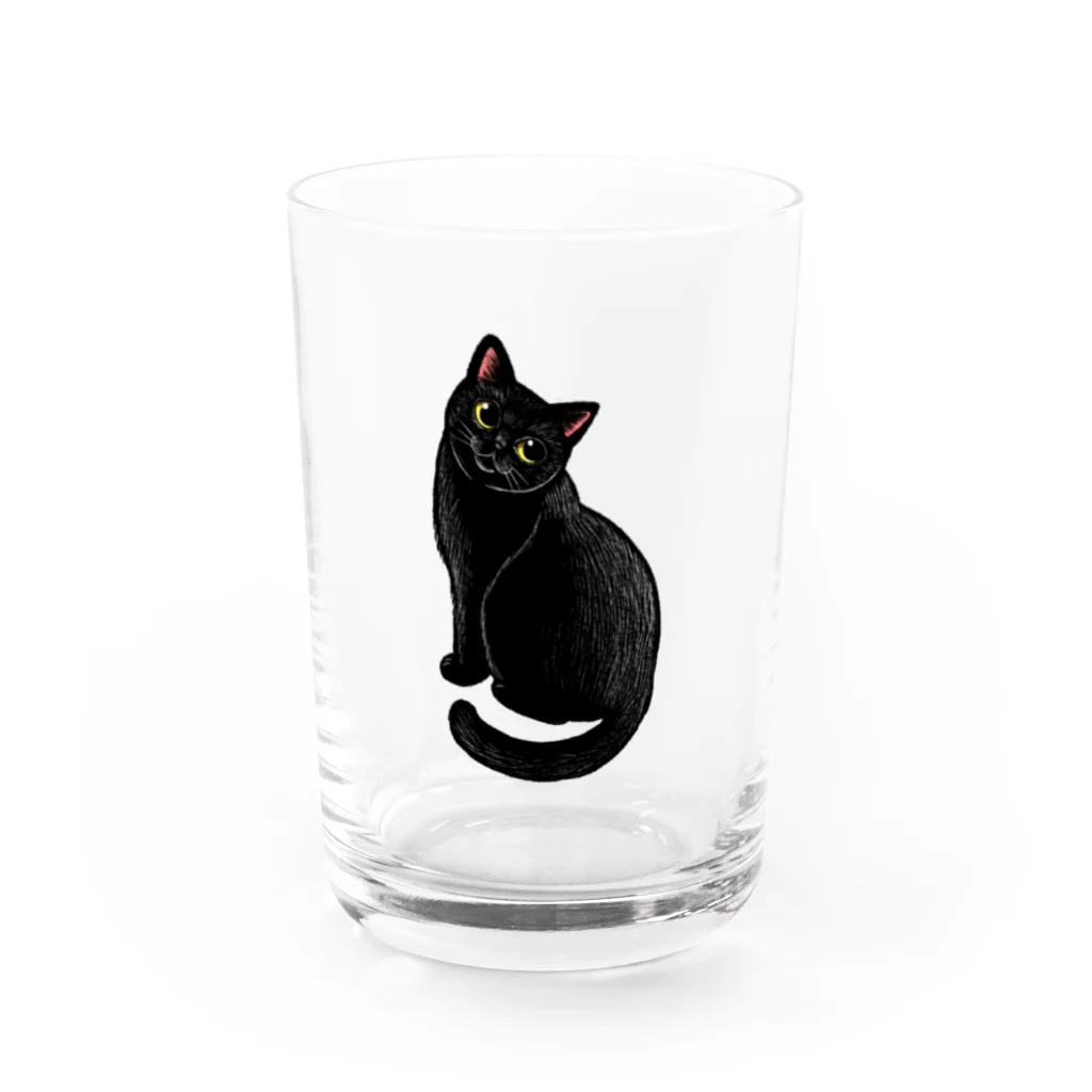 もっち（mocchi）の黒猫ちゃん Water Glass :front