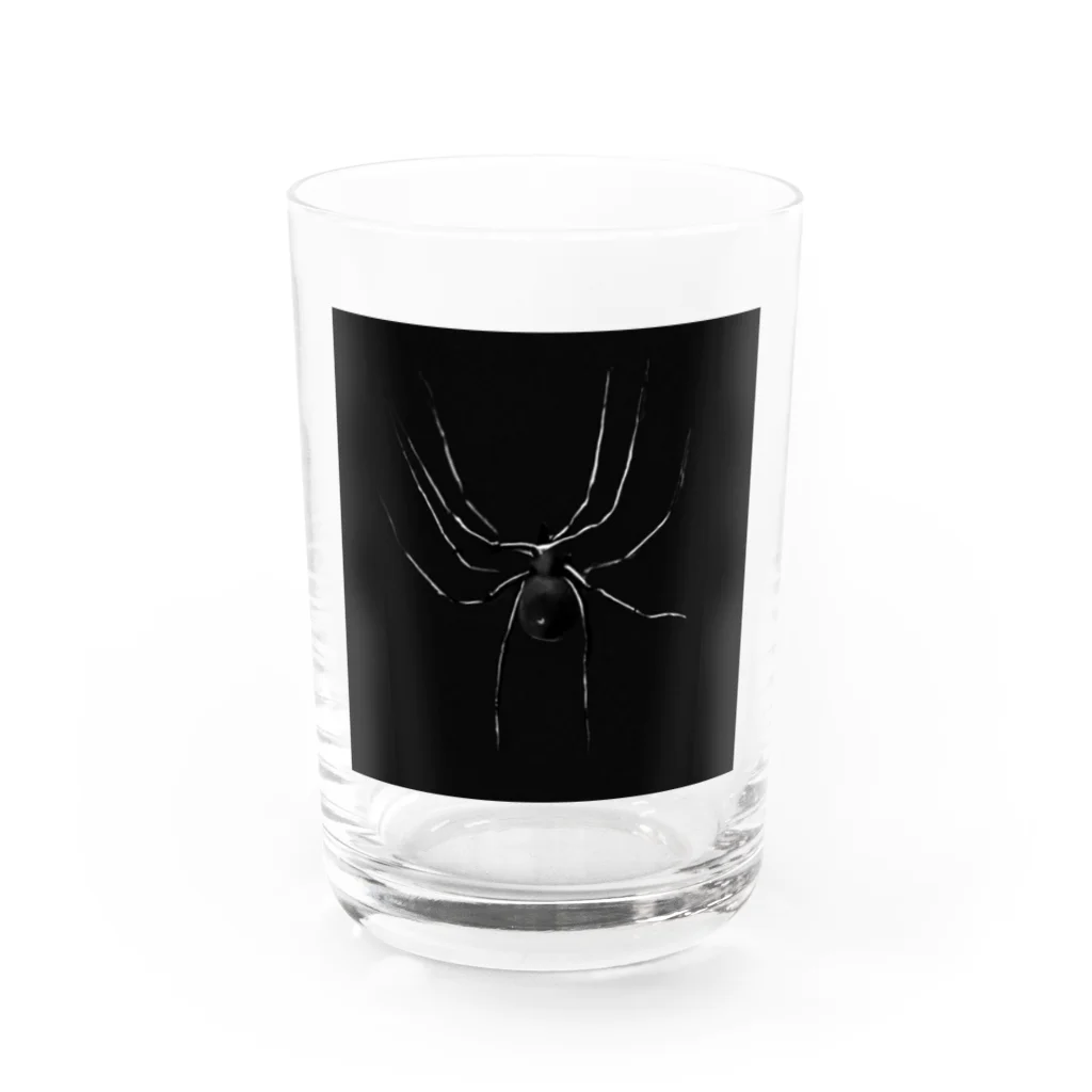 クモの蜘蛛 グラス前面