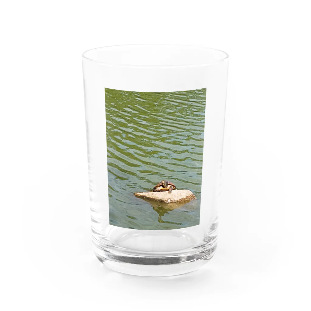 宇宙人の亀 Water Glass :front