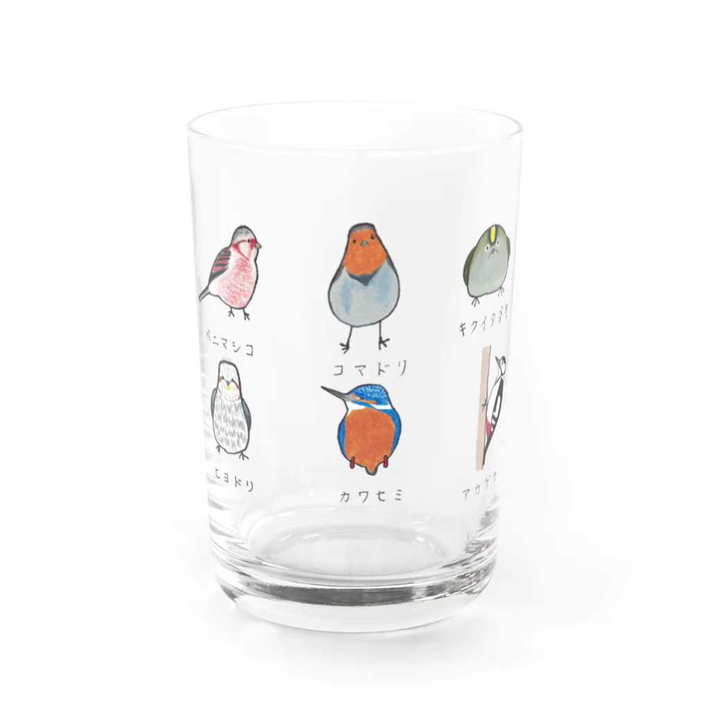 森図鑑の[森図鑑] 日本の野鳥づくし6羽B-2 Water Glass :front