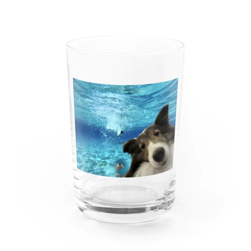 犬ロボット！のinurobotの犬in海 Water Glass :front