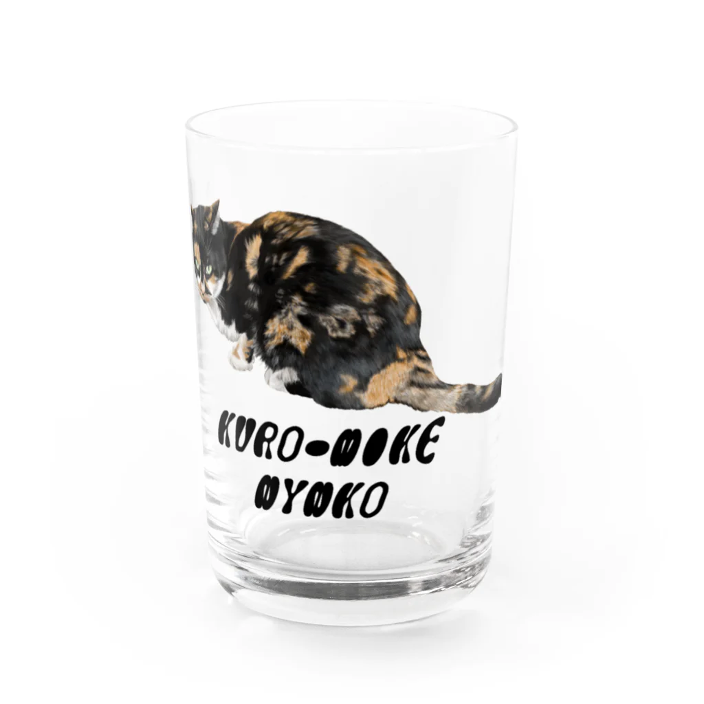 もっち（mocchi）の黒三毛猫ちゃん Water Glass :front