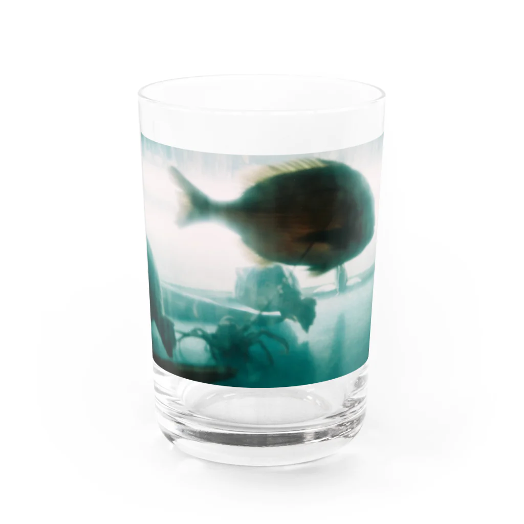 ニョキのあの道の途中でサカナになった Water Glass :front