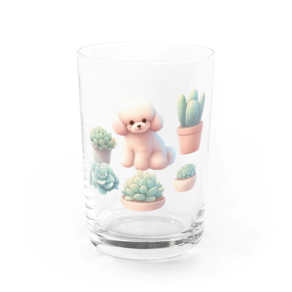 わんにゃんsucculentのトイプーと多肉植物 Water Glass :front