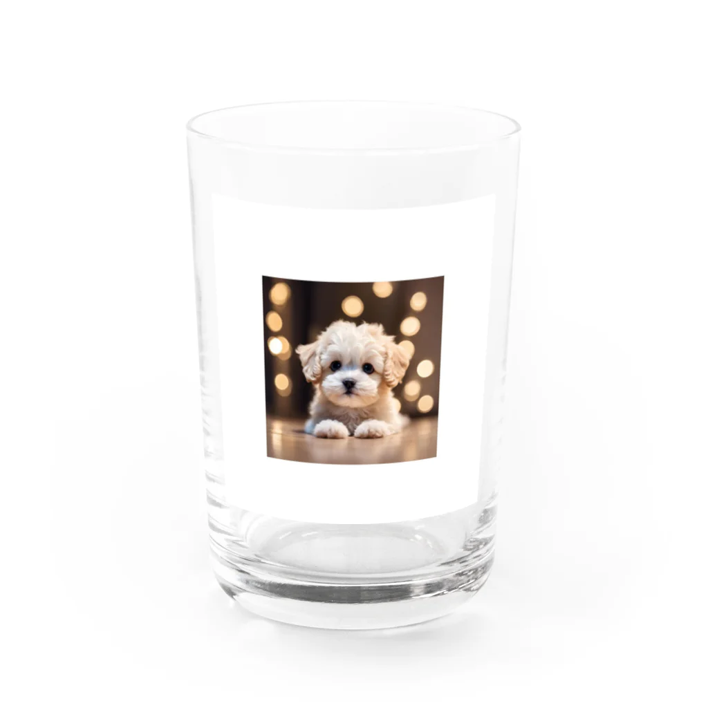 MESAMESAの可愛い子犬 Water Glass :front