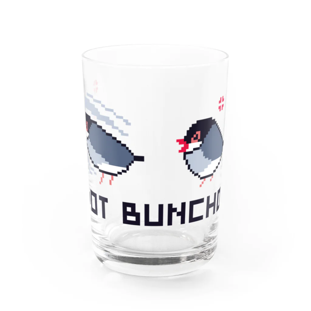 トモカピのドット文鳥（怒） Water Glass :front