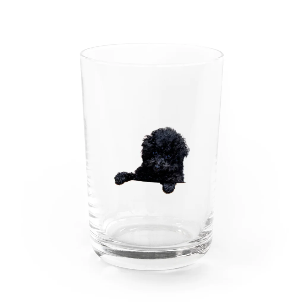 アビシニアコロブスのboss Water Glass :front