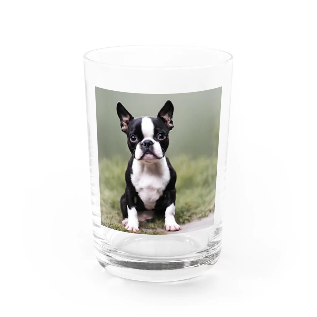 B-ossTonのキュートなボストンテリアのグッズ Water Glass :front