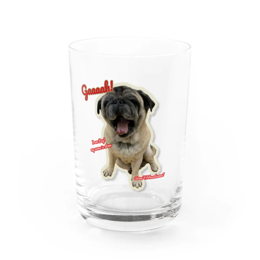 mimosaのI am Pug!　 Water Glass :front