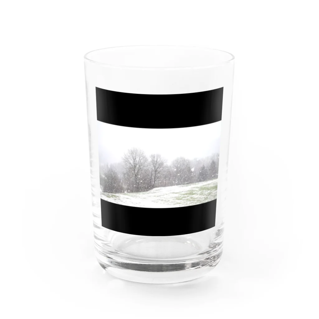 Zeceの雪原 Water Glass :front