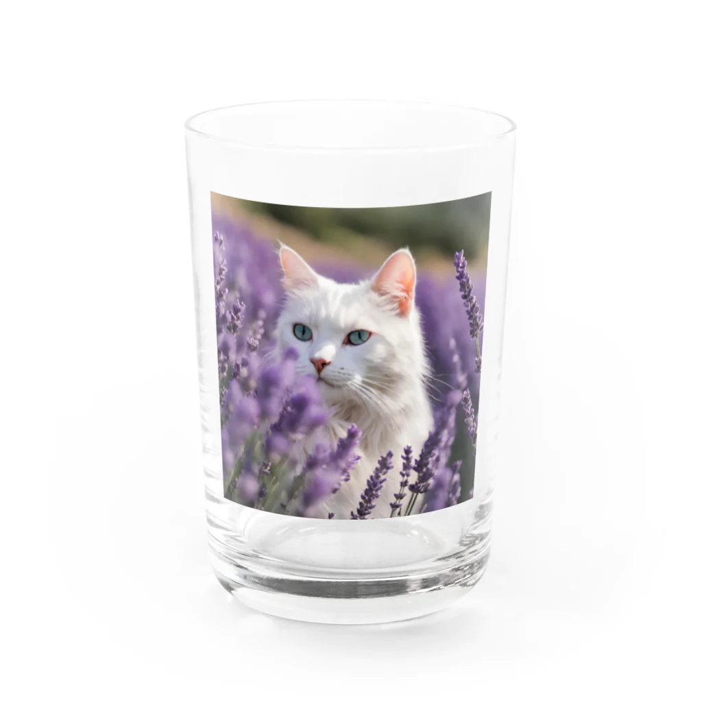 capcat1919のラベンダー猫 Water Glass :front