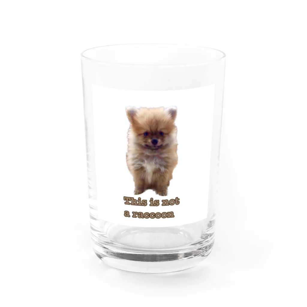 ポメマルシェのポメラニアンしし丸コレクション Water Glass :front