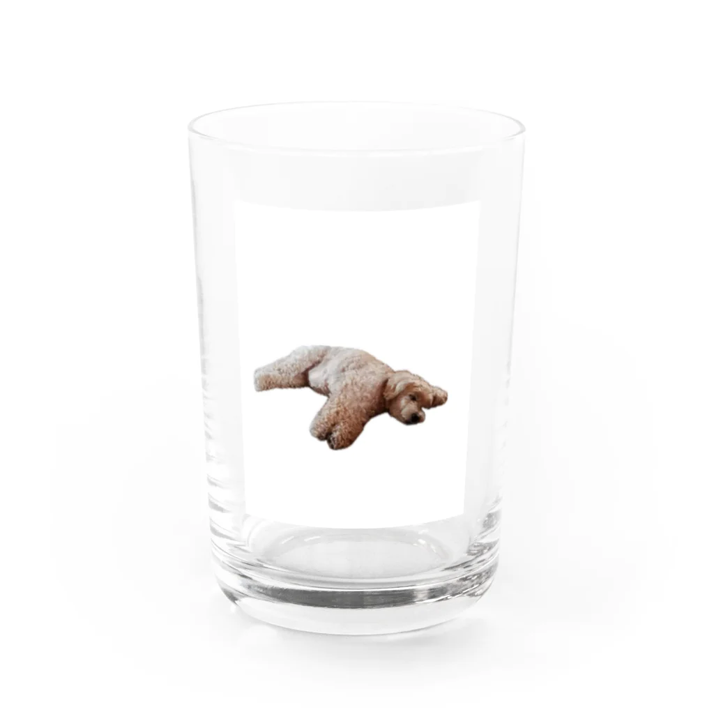 山のくまの犬が落ちてる Water Glass :front