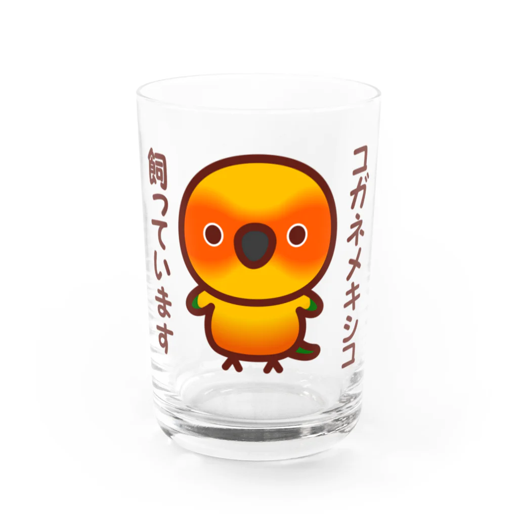 いんこ屋堂のコガネメキシコ飼っています Water Glass :front