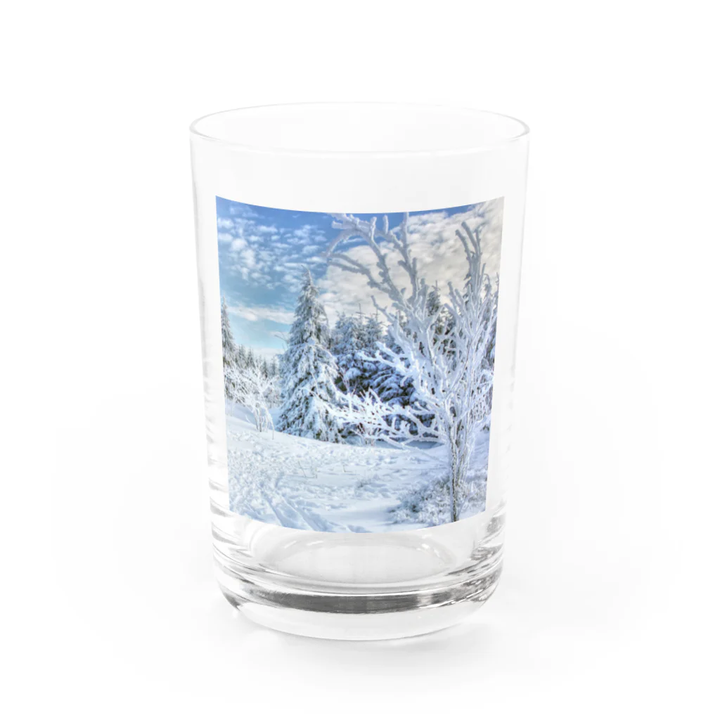 白銀屋の美しい冬の景色 Water Glass :front