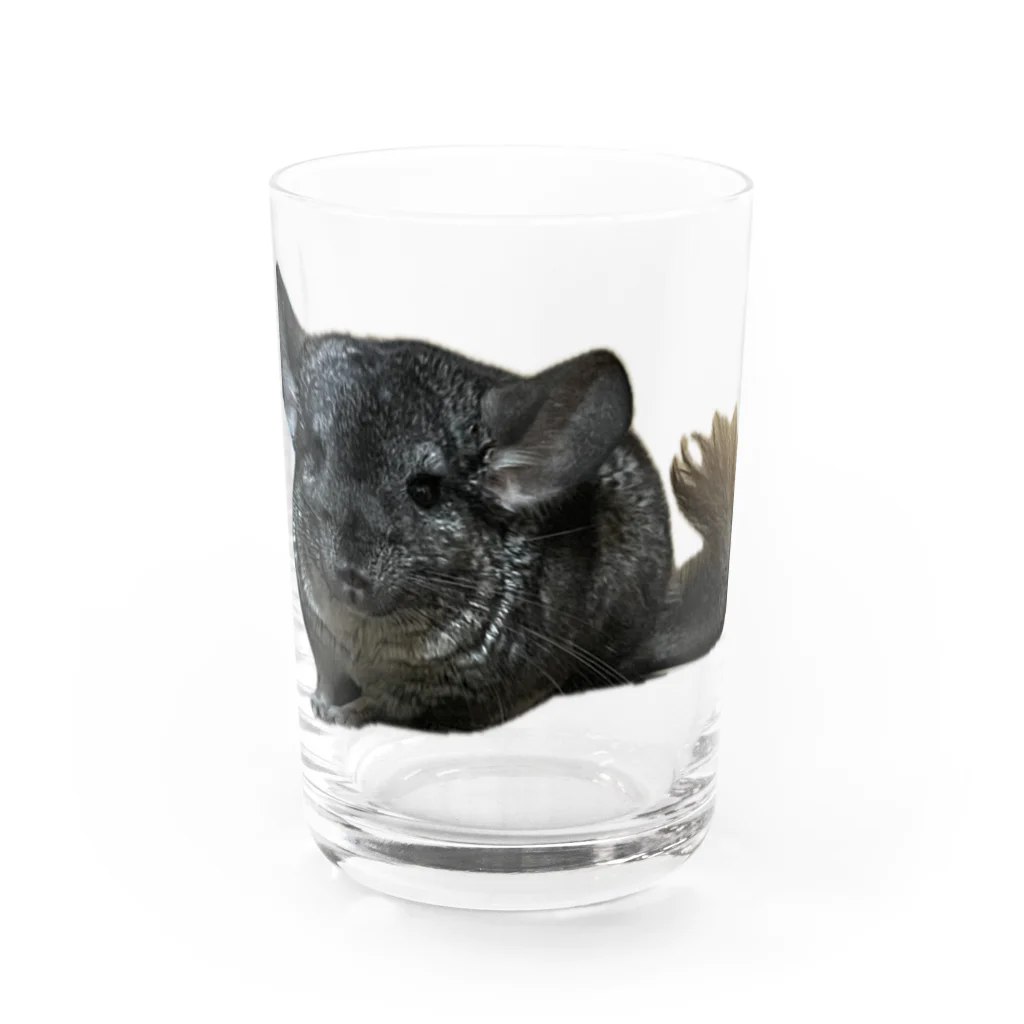 動物クラブのチンチラグッズ Water Glass :front