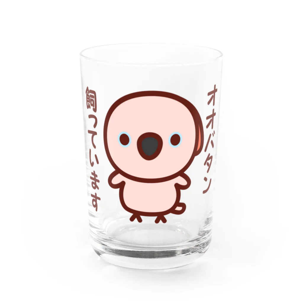 いんこ屋堂のオオバタン飼っています Water Glass :front