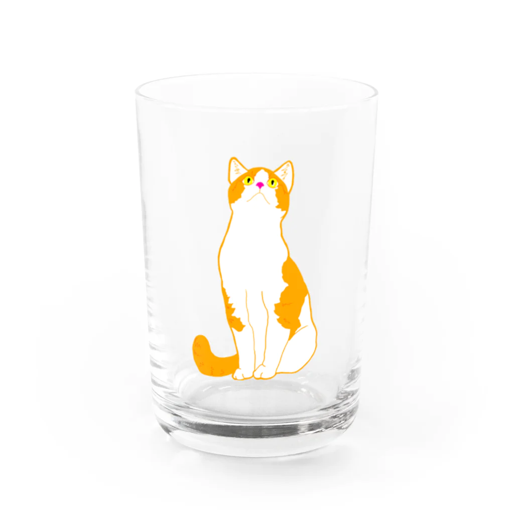 うちのねこの茶白猫　上が気になる Water Glass :front