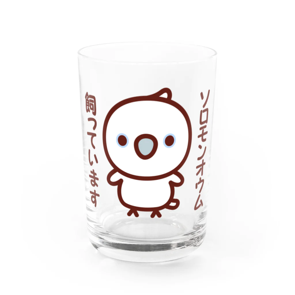 いんこ屋堂のソロモンオウム飼っています Water Glass :front