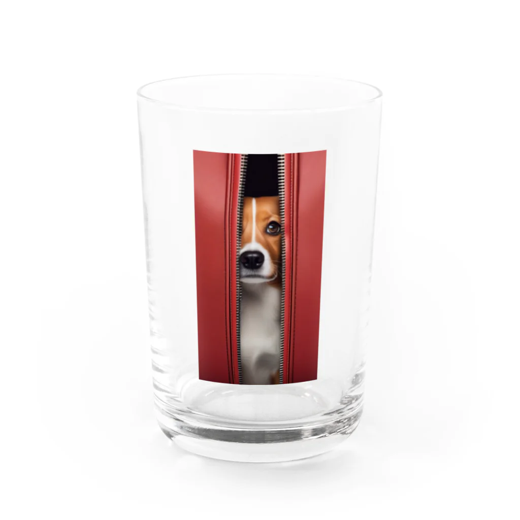 YUTO1126のジッパーから覗く犬 Water Glass :front