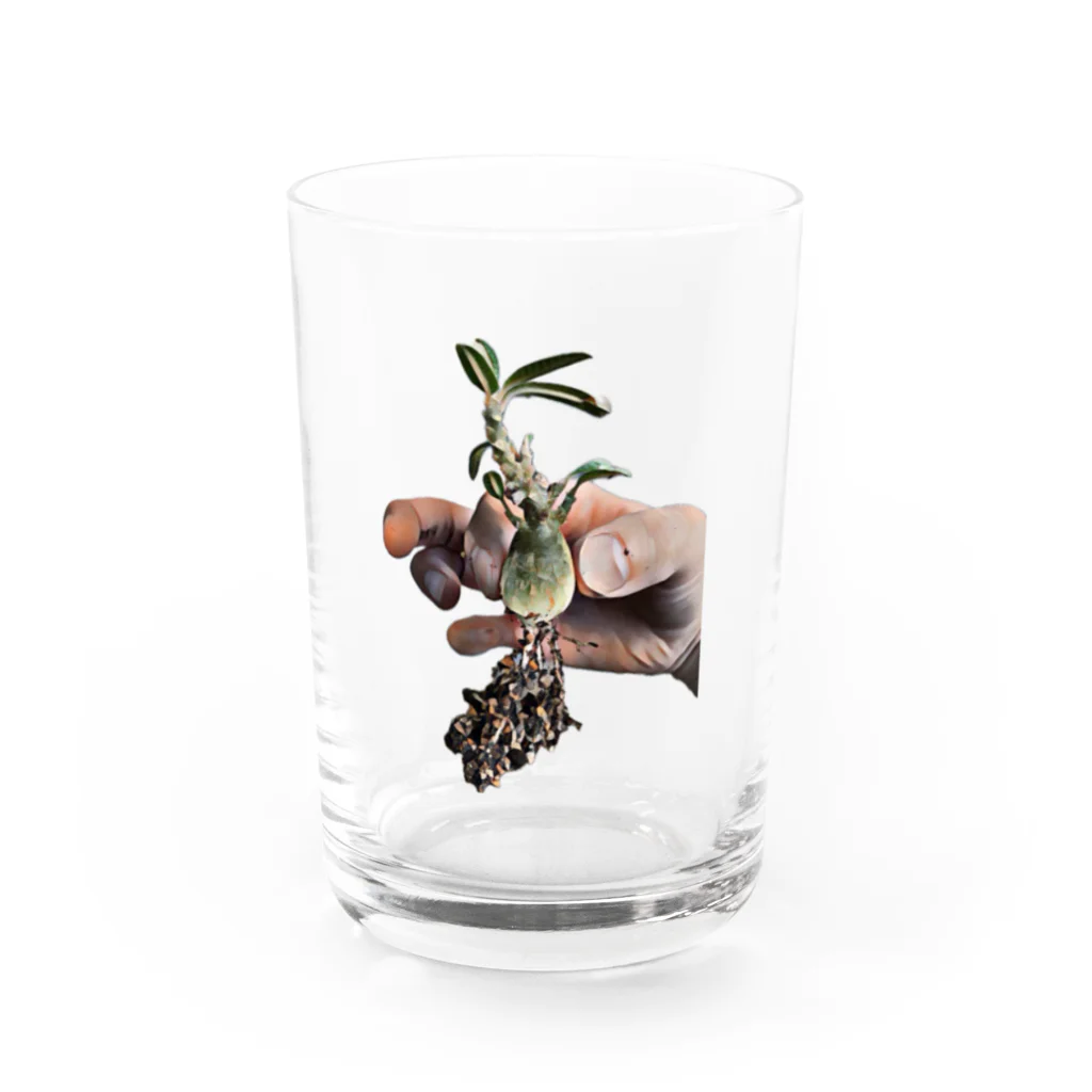 mkt8404のブラータベビー Water Glass :front