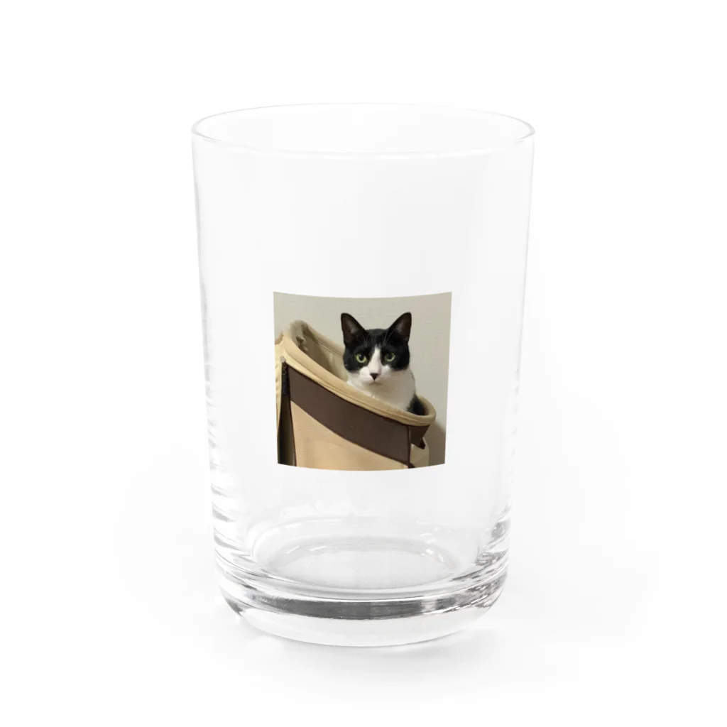 itinoriのひょっとこ鶴太郎 Water Glass :front