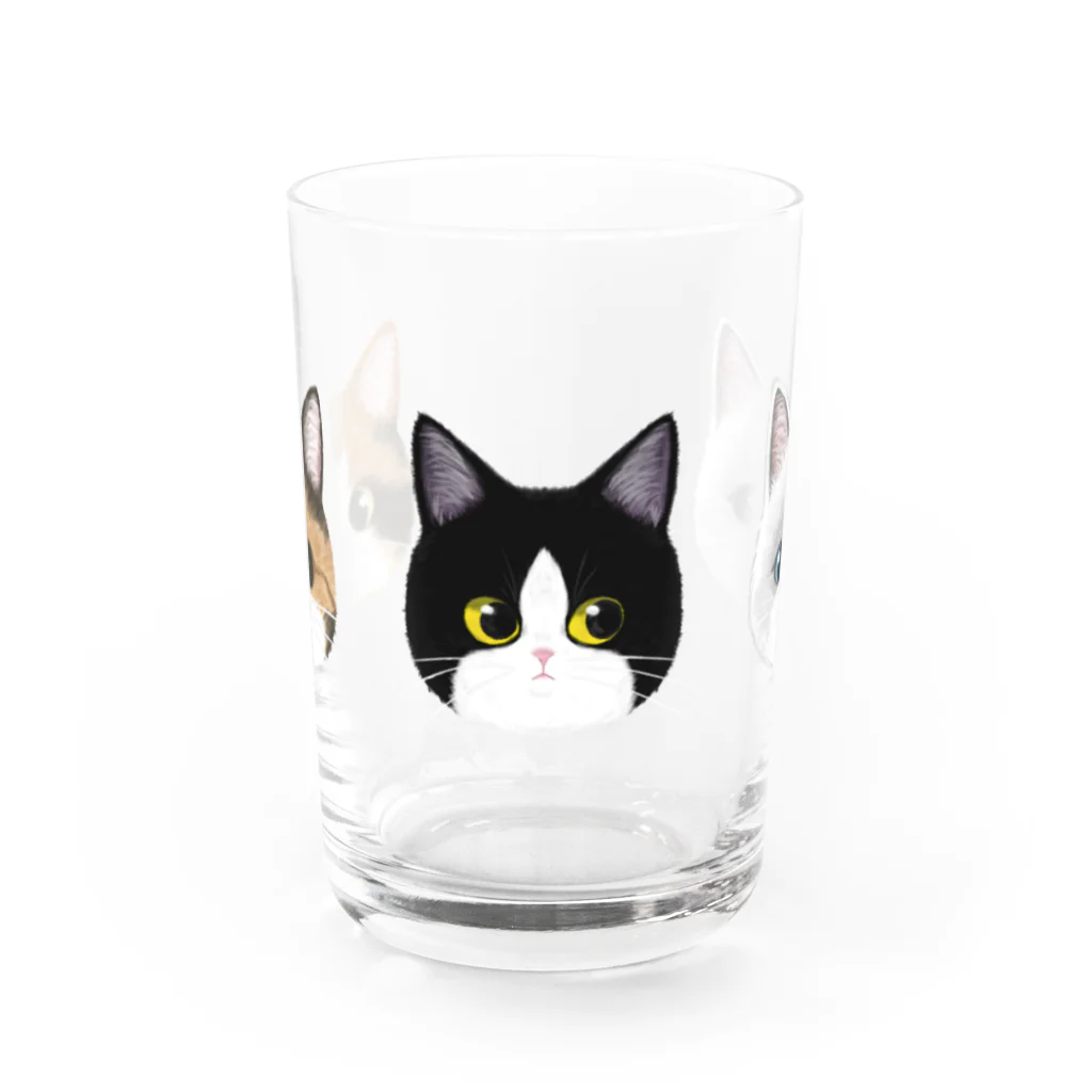 Smauの三毛猫・ハチワレ・ラグドール Water Glass :front
