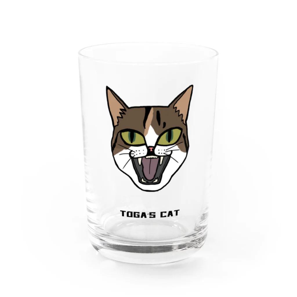 TOGA,s  CATのTOGA,s CAT グラス前面
