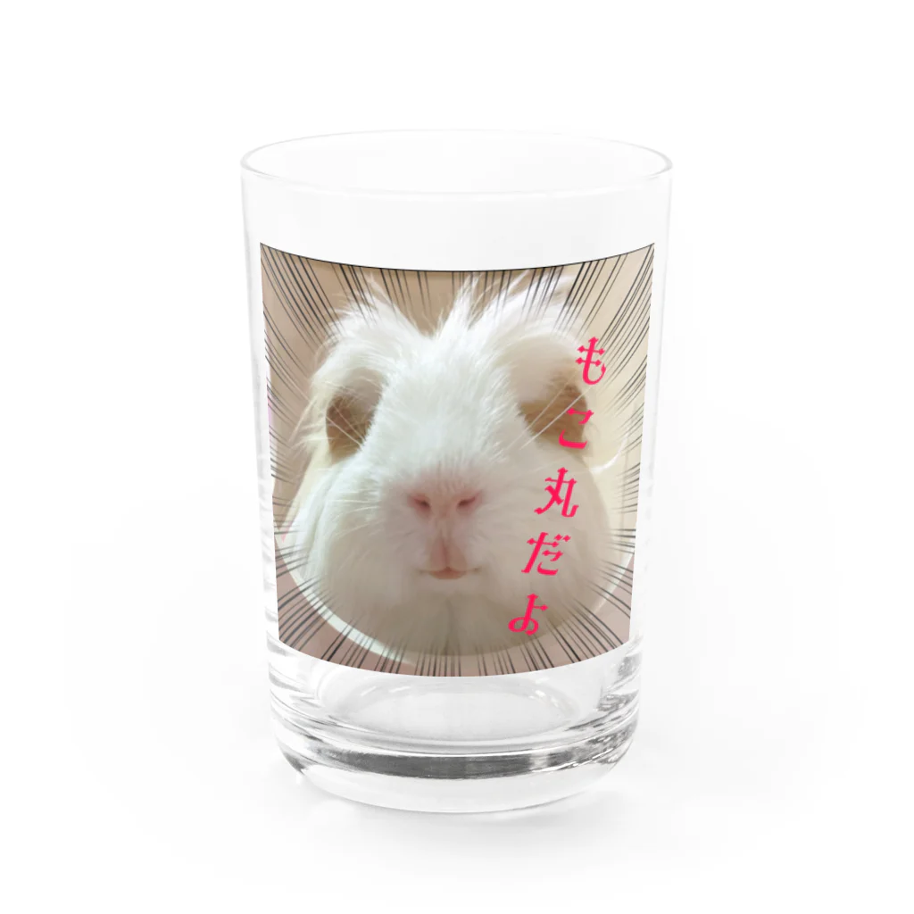 モルモットのもこ丸のモルモットのもこ丸 Water Glass :front