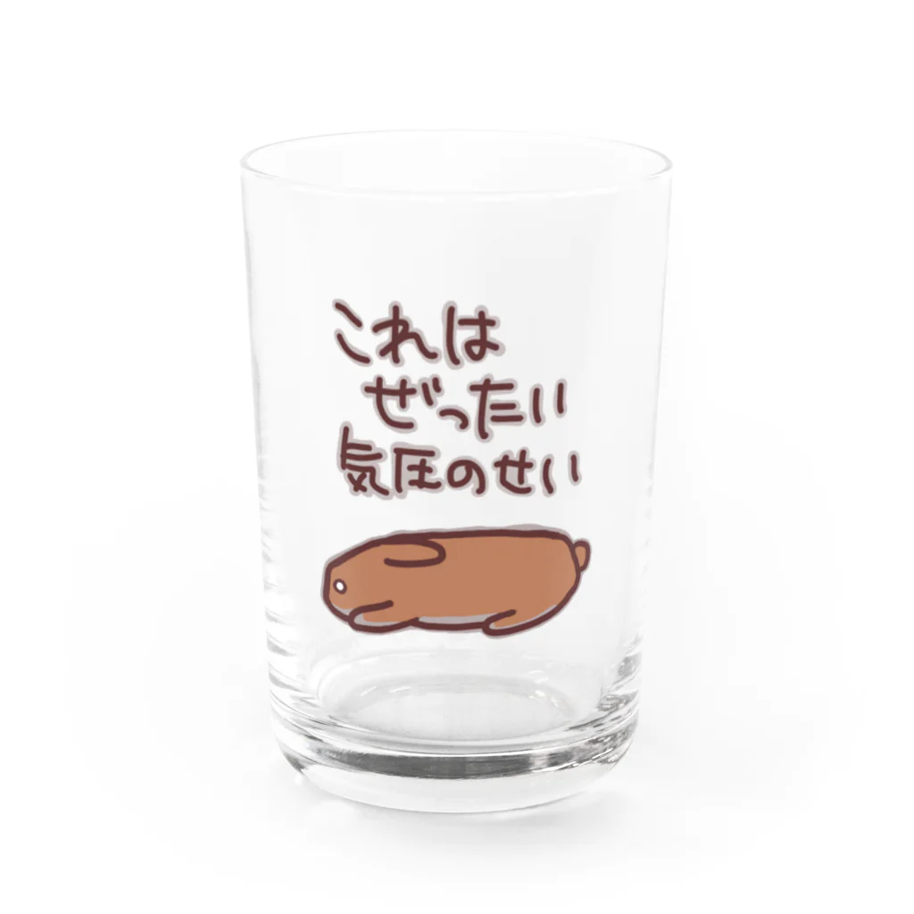 ミナミコアリクイ【のの】の絶対気圧のせい【うさぎ】 Water Glass :front