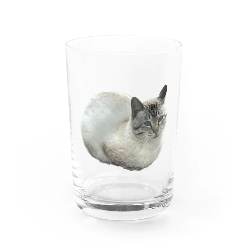 筋肉至上主義者のワイの婆ちゃん家のネッコ Water Glass :front