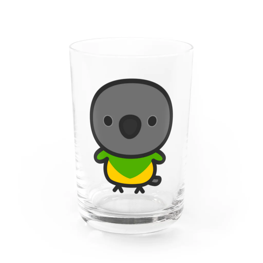 いんこ屋堂のネズミガシラハネナガインコ Water Glass :front