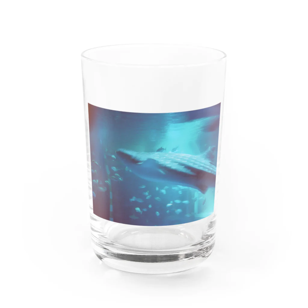 __感覚の幻想 Water Glass :front