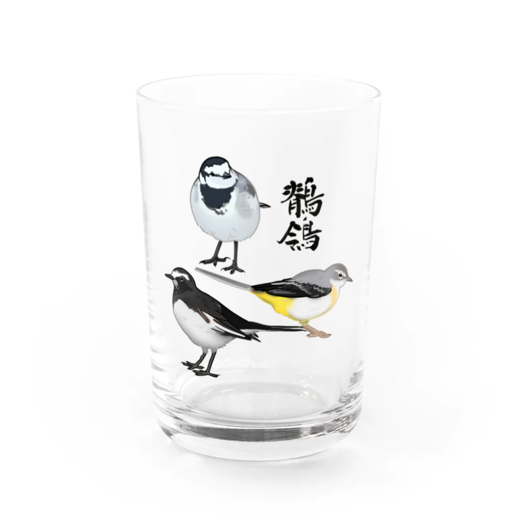 やちよ｜リアル鳥イラストの鶺鴒さん Water Glass :front