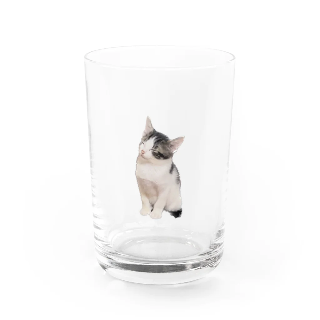 オロシアン2世のちょぴちょぴ Water Glass :front