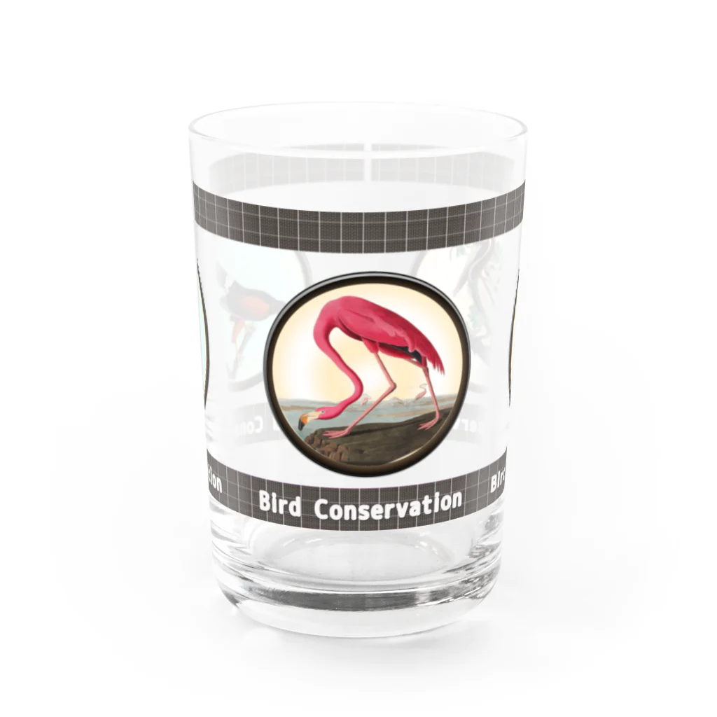 アニマル四字熟語の「Bird conservation」野鳥保護サーモンタンブラー Water Glass :front