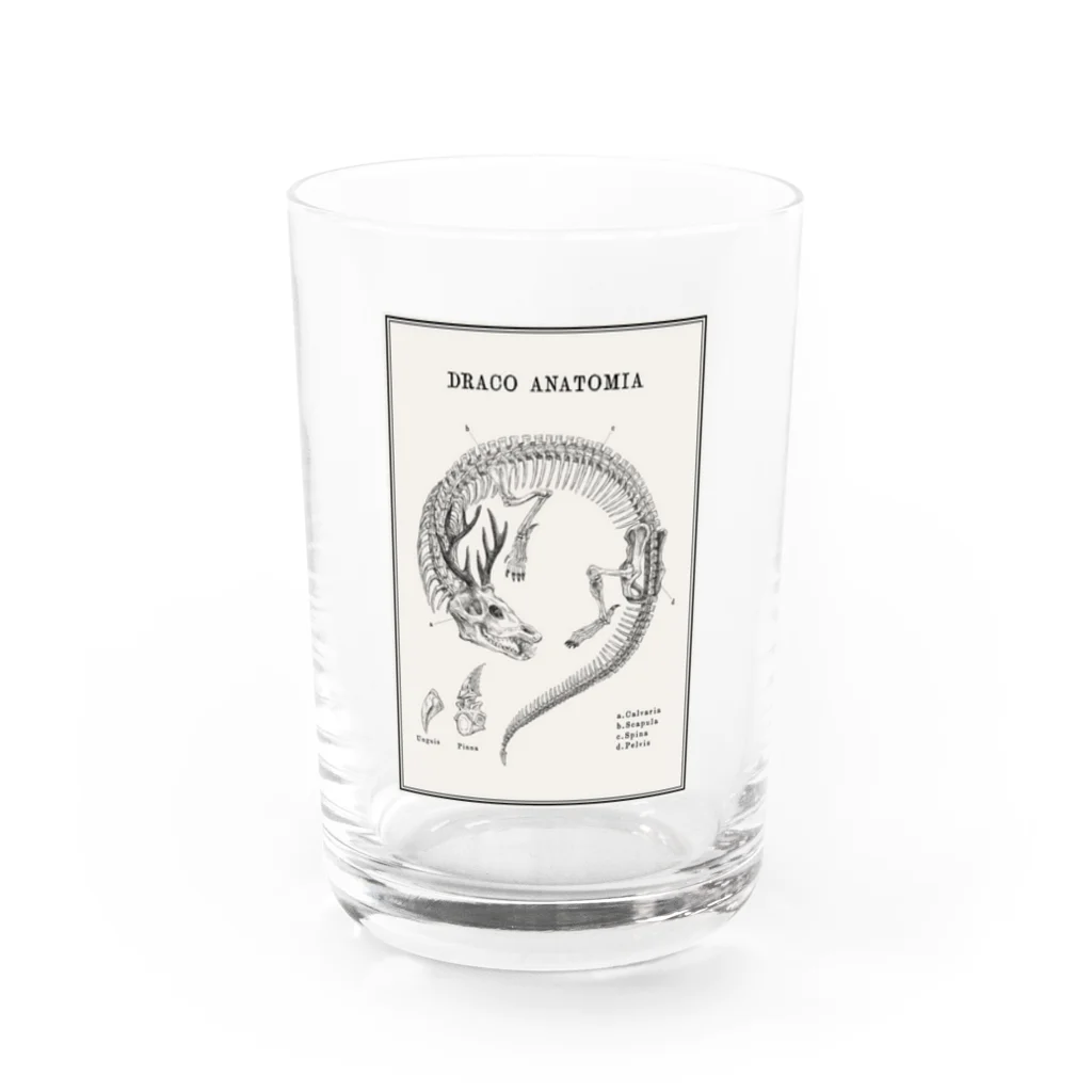 THOUGHT -STORE in Suzuri-のDRACO ANATOMIA Water Glass :front