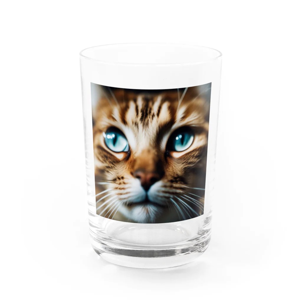 しんの考え事している猫 Water Glass :front