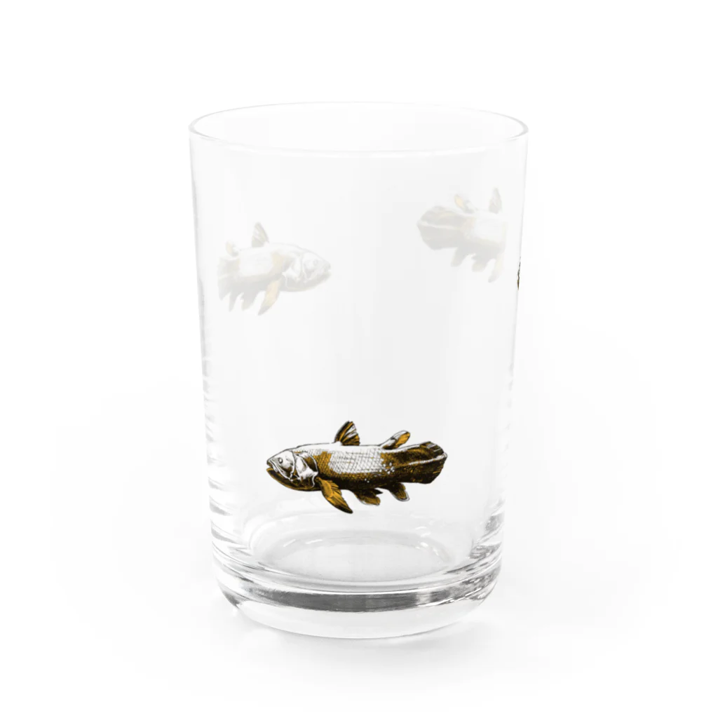 ペチッタぺチットのシーラカンス Water Glass :front