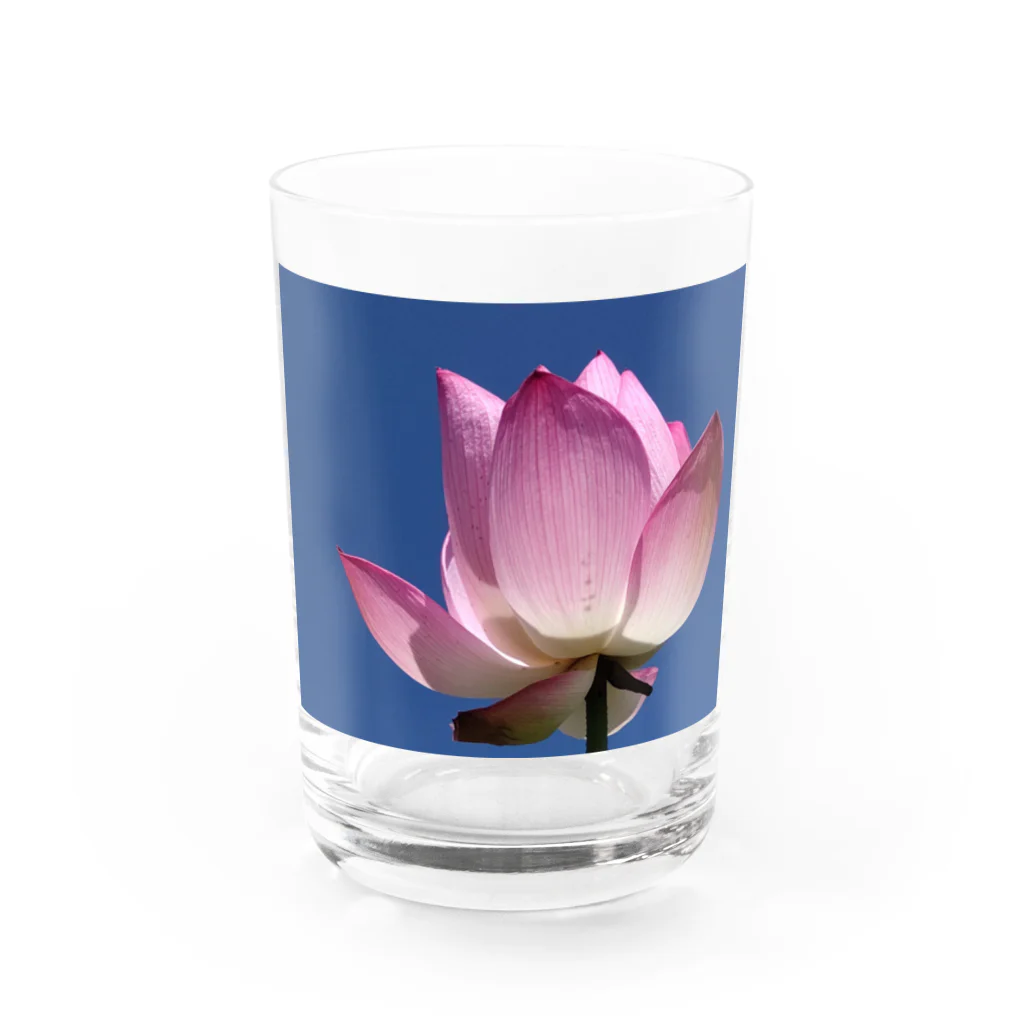 華の青空に蓮 Water Glass :front