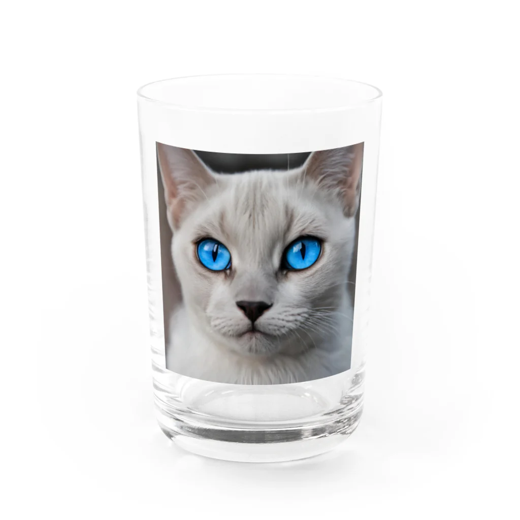 ソラトラの青目の猫 Water Glass :front