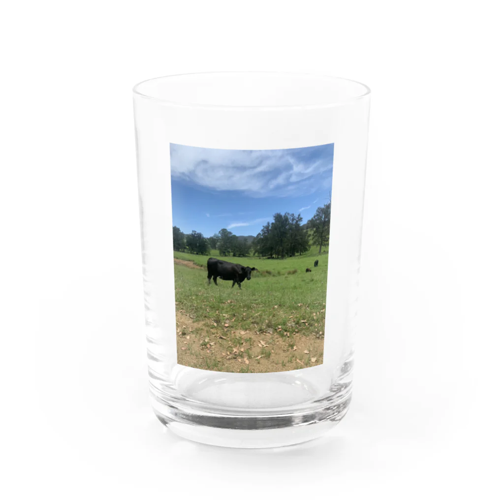 YASUE ABE JPのFarm Water Glass :front