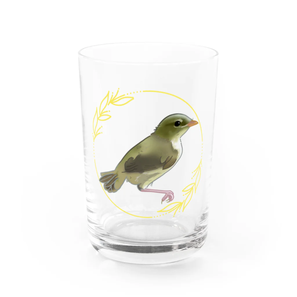 やちよ｜リアル鳥イラストのウグイスのヒナちゃん Water Glass :front