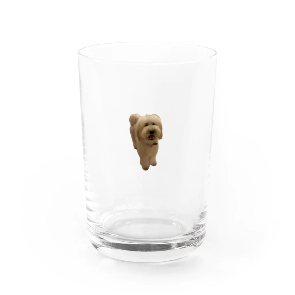 モフモフ犬のトゥトゥのトゥトゥ1 Water Glass :front