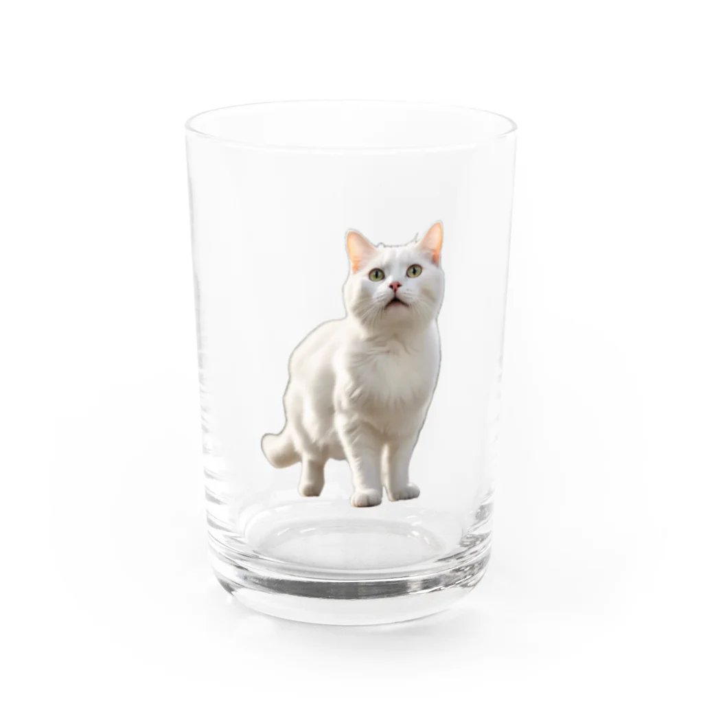 kiryu-mai創造設計の白猫ちゃん Water Glass :front