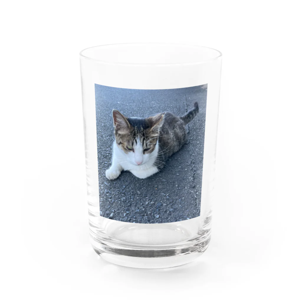 ながしっぽ from.さくらねこの家のながしっぼ typeN Water Glass :front